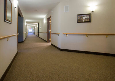 Accessibility & Commons